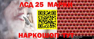 прущие грибы Лесосибирск
