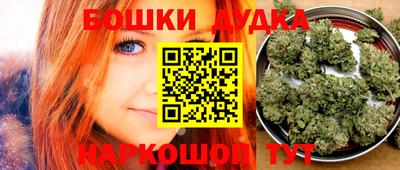 прущие грибы Лесосибирск