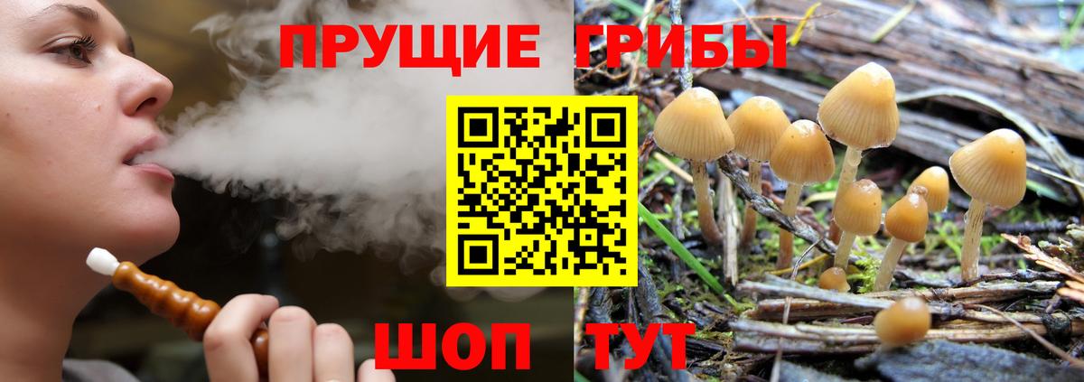 Галлюциногенные грибы прущие грибы Знаменск